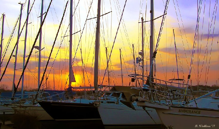 White Rocks Marina & Boatyard